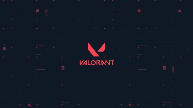 How to Change Name in Valorant with Hashtag | Theprofox